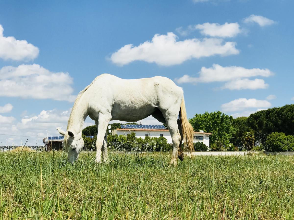 Masseria Nel Sole Hotel Lucera Bagian luar foto